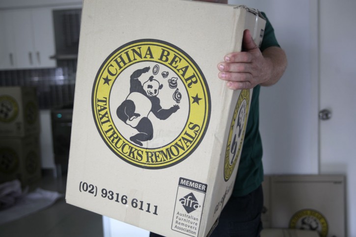 China Bear Removals